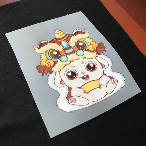 DTF Transfer Film for Garment Printing